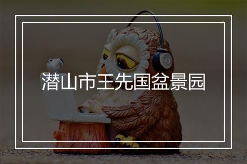 潜山市王先国盆景园