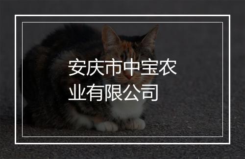 安庆市中宝农业有限公司