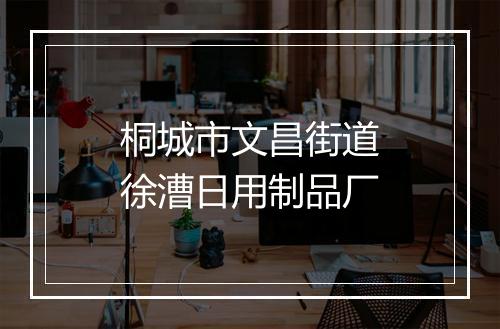 桐城市文昌街道徐漕日用制品厂