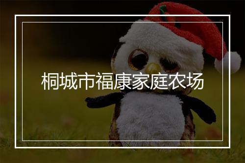 桐城市福康家庭农场
