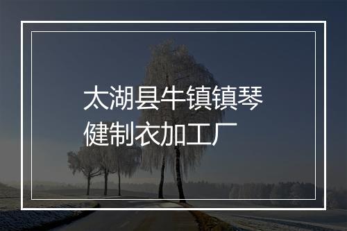太湖县牛镇镇琴健制衣加工厂