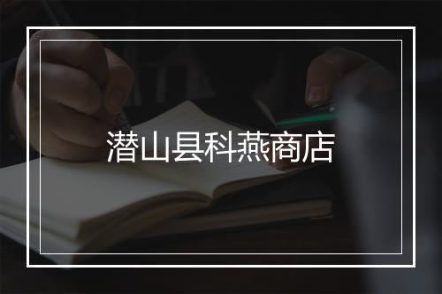 潜山县科燕商店