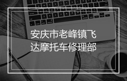 安庆市老峰镇飞达摩托车修理部