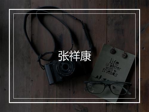 张祥康
