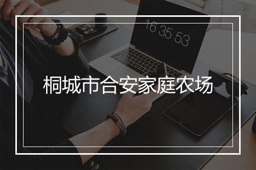 桐城市合安家庭农场