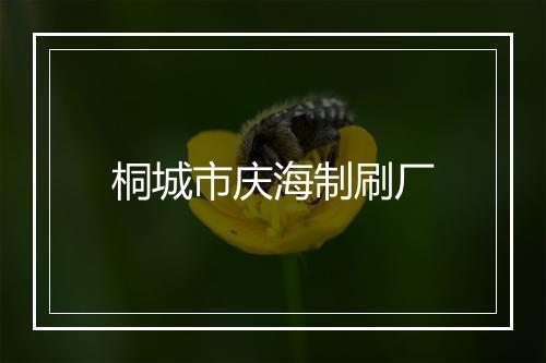 桐城市庆海制刷厂