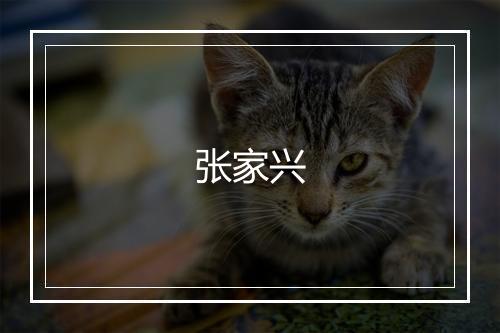 张家兴