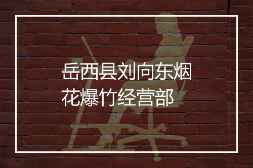 岳西县刘向东烟花爆竹经营部