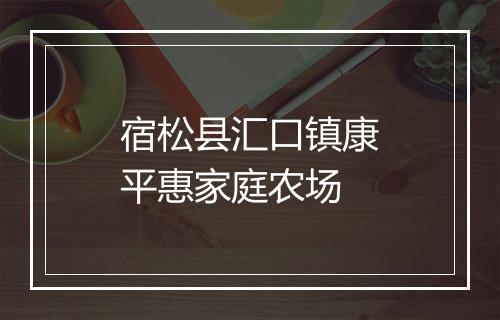 宿松县汇口镇康平惠家庭农场
