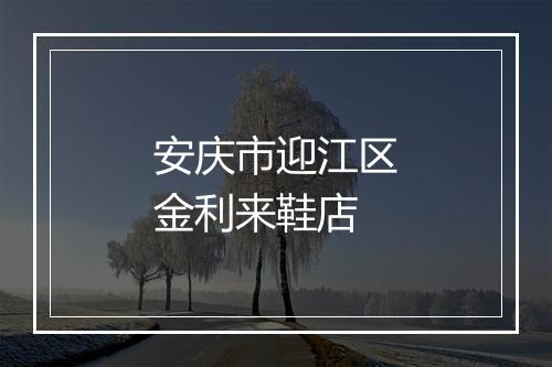 安庆市迎江区金利来鞋店