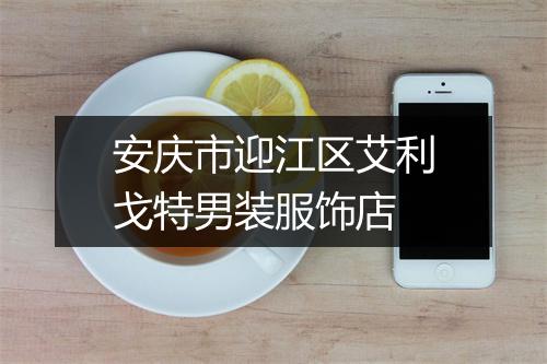 安庆市迎江区艾利戈特男装服饰店