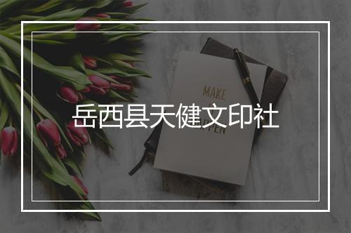岳西县天健文印社