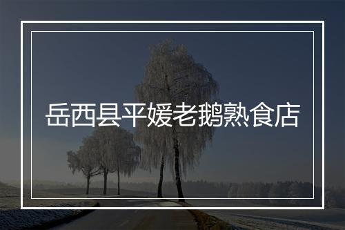 岳西县平媛老鹅熟食店