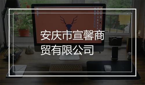 安庆市宣馨商贸有限公司