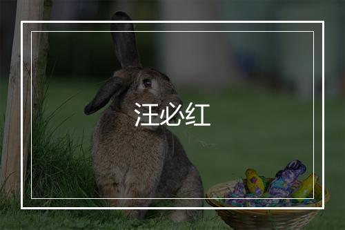 汪必红