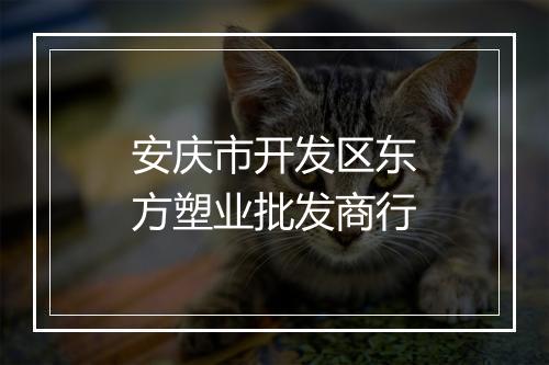 安庆市开发区东方塑业批发商行