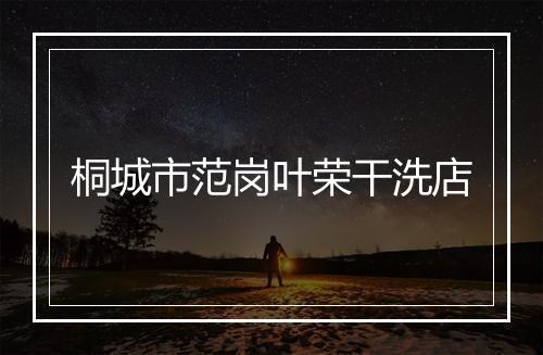 桐城市范岗叶荣干洗店