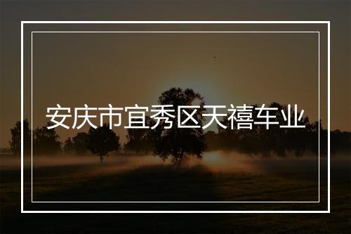 安庆市宜秀区天禧车业