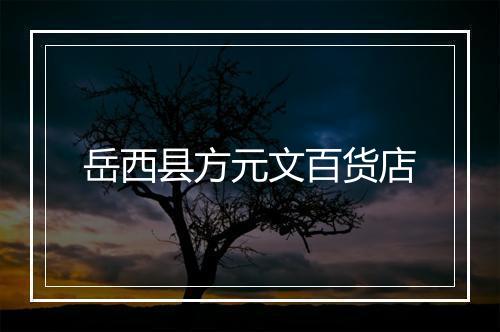 岳西县方元文百货店