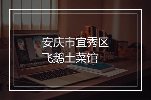 安庆市宜秀区飞鹅土菜馆