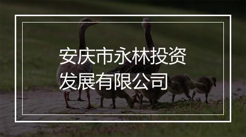 安庆市永林投资发展有限公司
