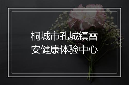 桐城市孔城镇雷安健康体验中心