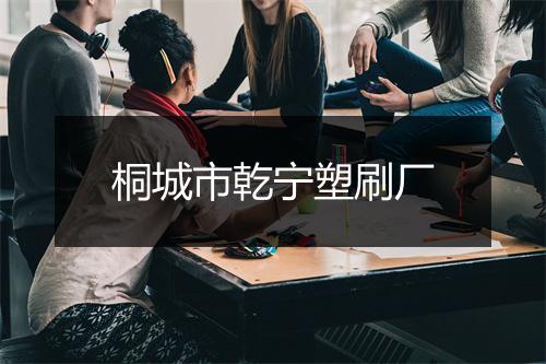 桐城市乾宁塑刷厂