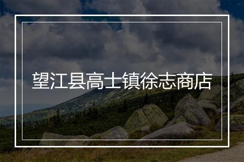 望江县高士镇徐志商店