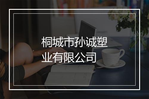 桐城市孙诚塑业有限公司