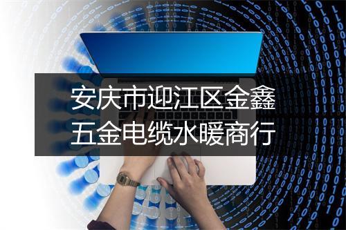 安庆市迎江区金鑫五金电缆水暖商行