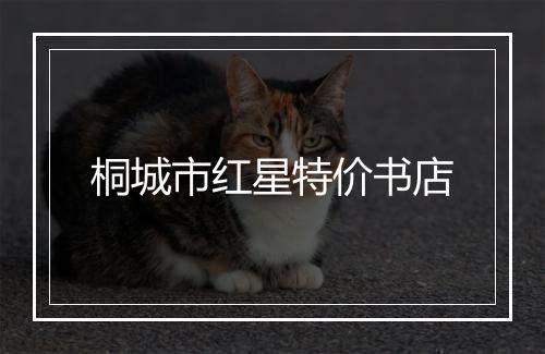 桐城市红星特价书店