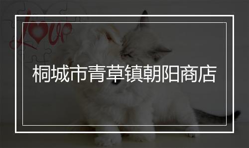 桐城市青草镇朝阳商店
