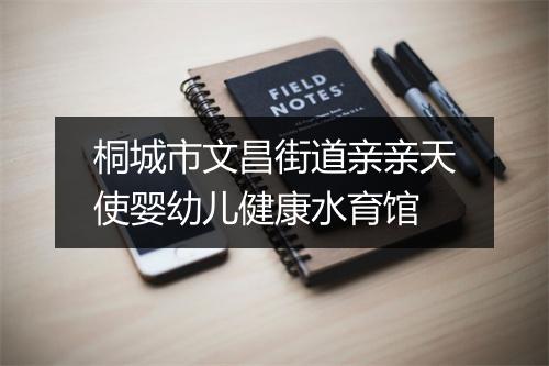 桐城市文昌街道亲亲天使婴幼儿健康水育馆