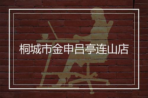 桐城市金申吕亭连山店
