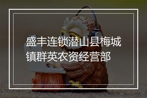盛丰连锁潜山县梅城镇群英农资经营部