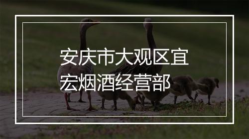 安庆市大观区宜宏烟酒经营部