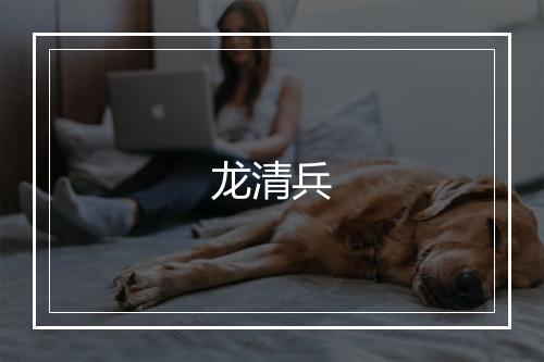 龙清兵