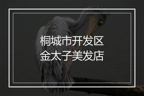 桐城市开发区金太子美发店