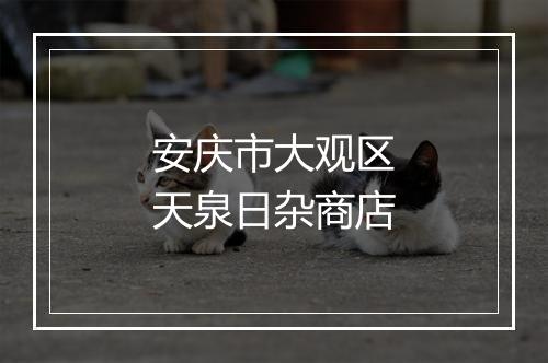 安庆市大观区天泉日杂商店