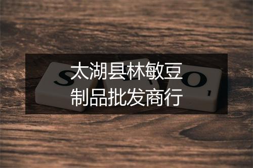 太湖县林敏豆制品批发商行