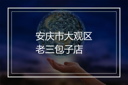 安庆市大观区老三包子店