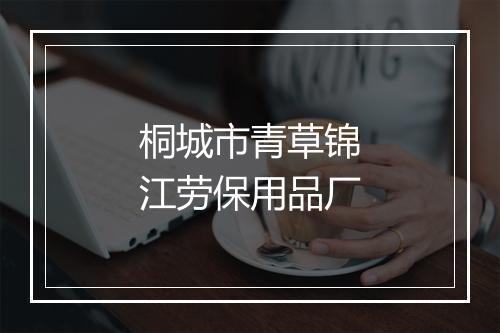 桐城市青草锦江劳保用品厂