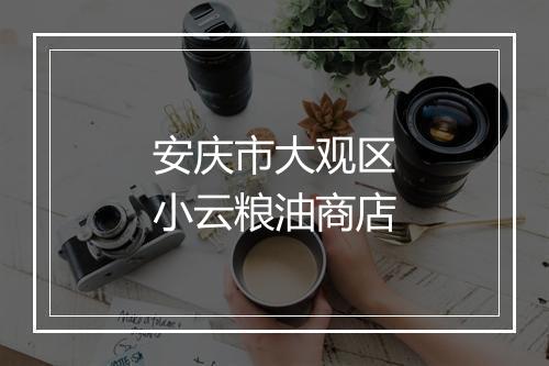 安庆市大观区小云粮油商店