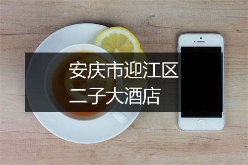 安庆市迎江区二子大酒店