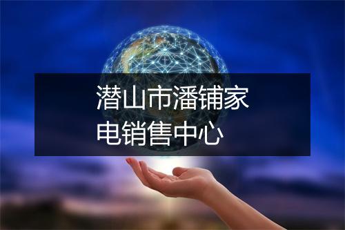 潜山市潘铺家电销售中心