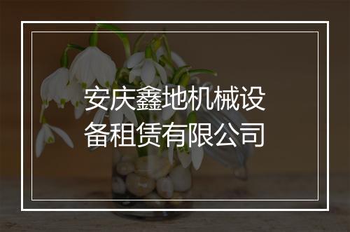 安庆鑫地机械设备租赁有限公司