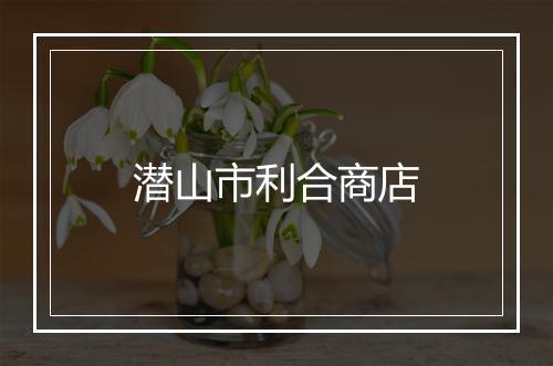 潜山市利合商店