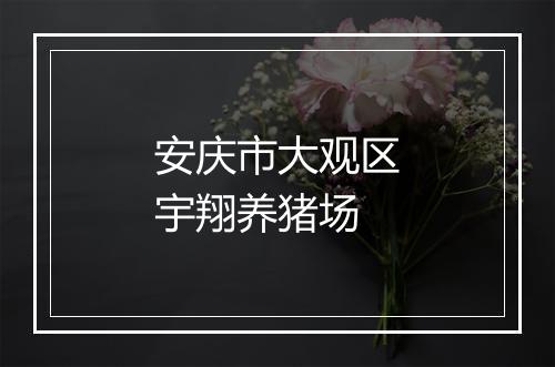 安庆市大观区宇翔养猪场