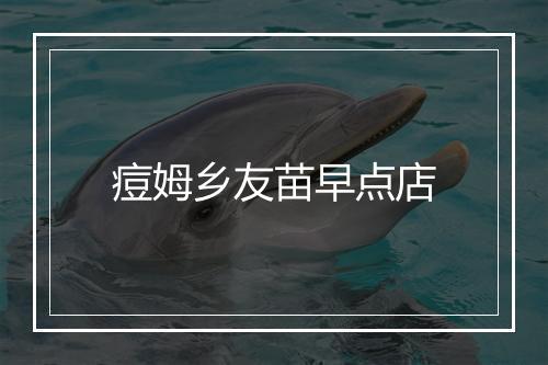 痘姆乡友苗早点店
