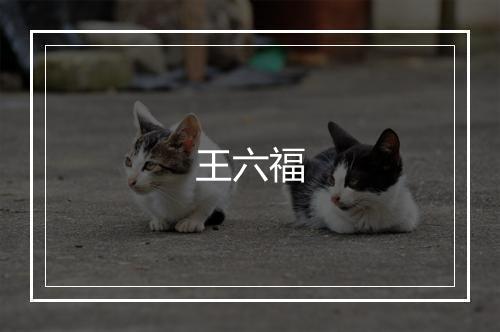 王六福